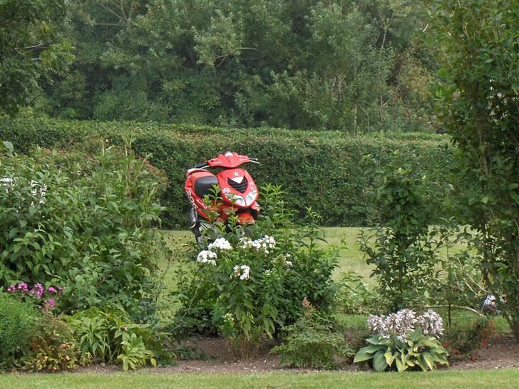 Peugeot Speedfight 2 ¤FØR¤ billede 1