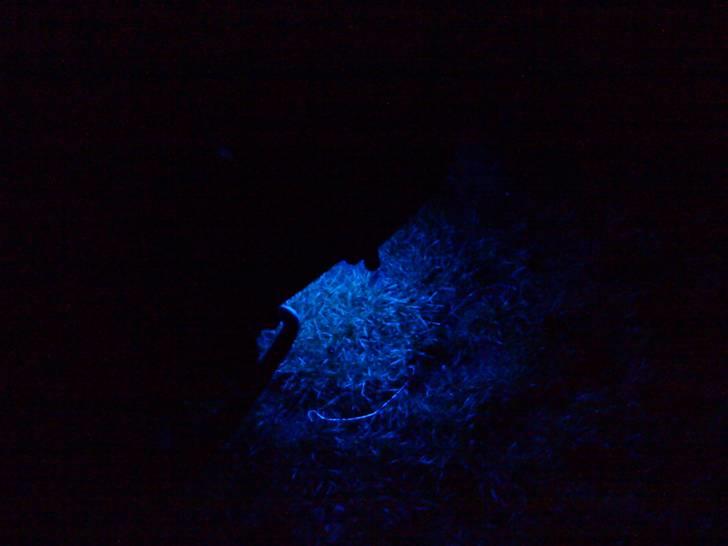 PGO Hot 50 billede 4