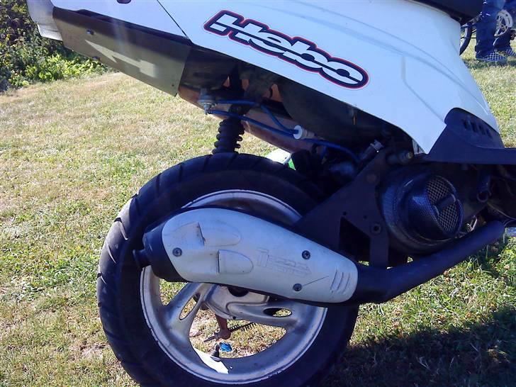 PGO Hot 50 billede 6