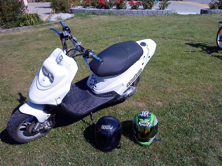 PGO Hot 50 billede 13