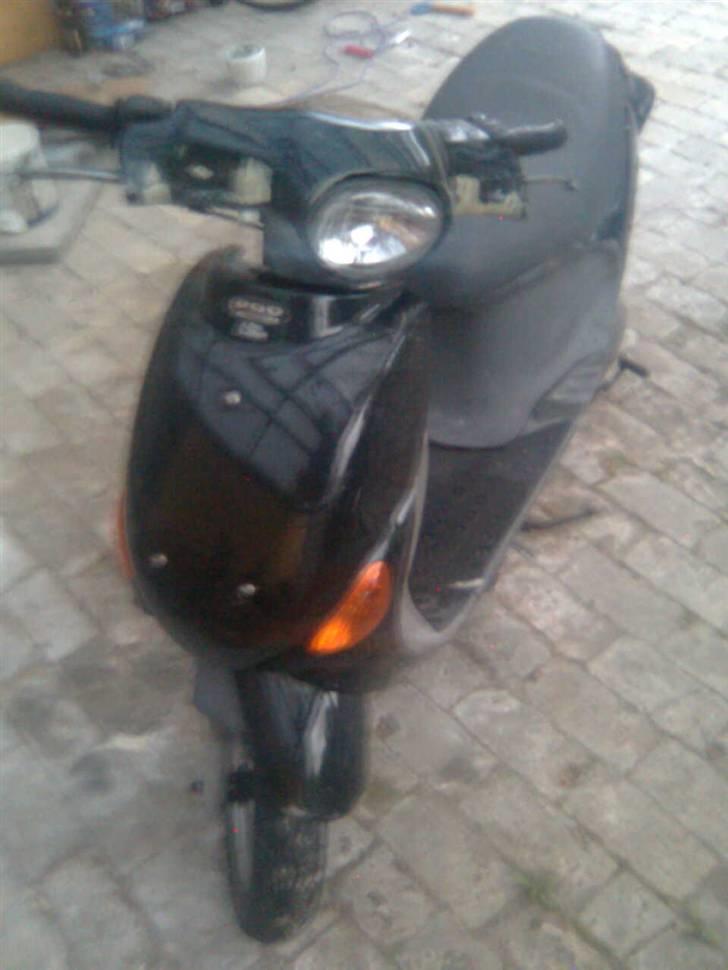 PGO Rodo Show billede 1