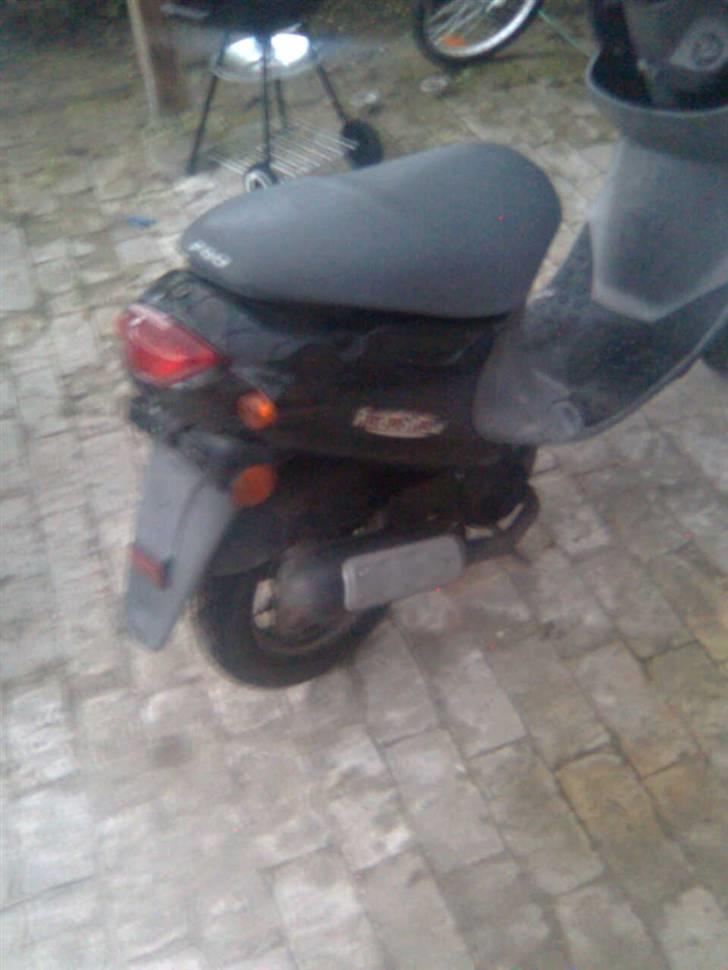 PGO Rodo Show billede 3