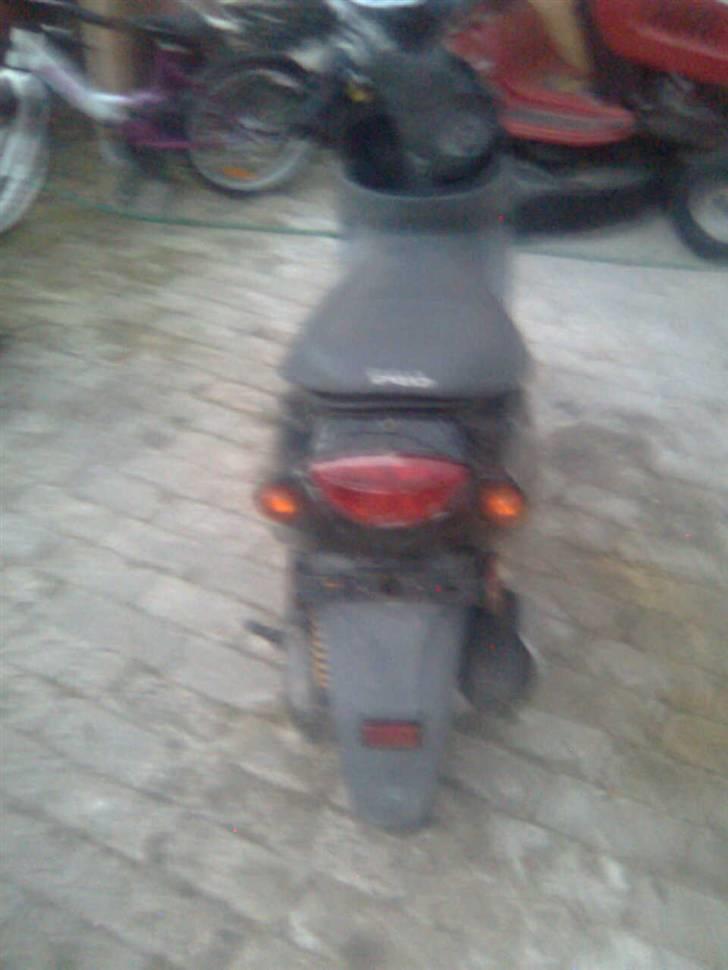 PGO Rodo Show billede 5