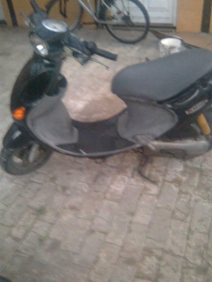 PGO Rodo Show billede 7