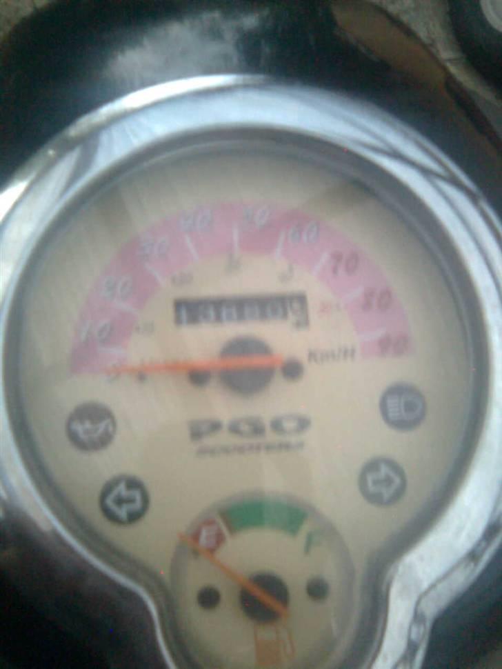 PGO Rodo Show billede 8