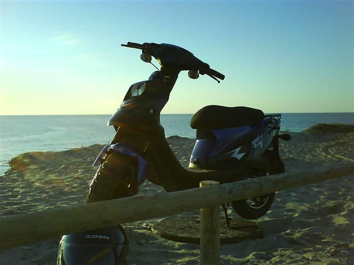 PGO <HOT 50> solgt billede 4