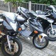 Adly silver fox solgt