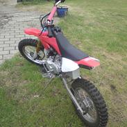 MiniBike 110ccm