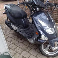 PGO Dr.Big Solgt pr 2/2/09