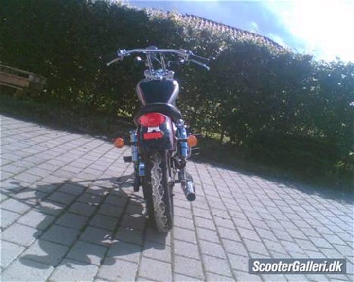 Kinroad prince solgt billede 5