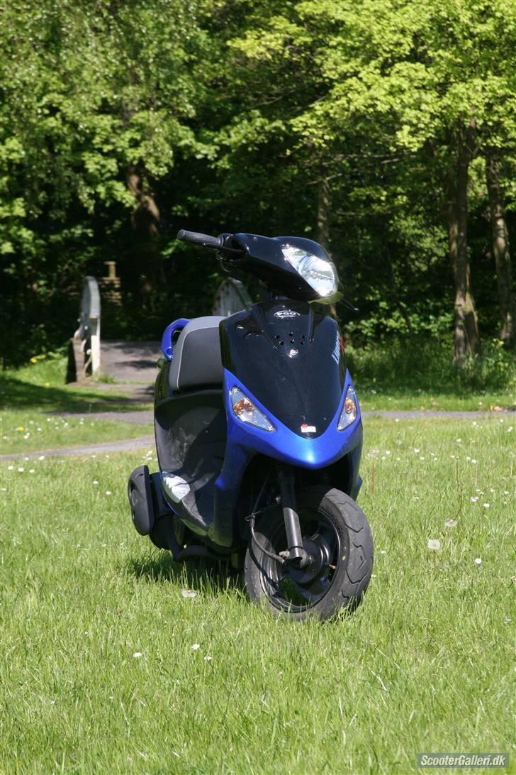 PGO Ligero  billede 11