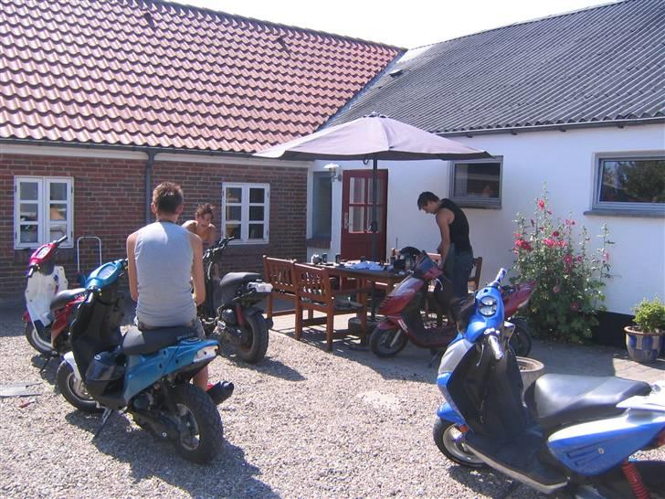 Aprilia Sonic BYTTET - Guy´s <3333 billede 2