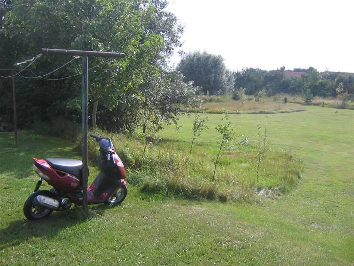 Aprilia Sonic BYTTET - <3333 billede 9