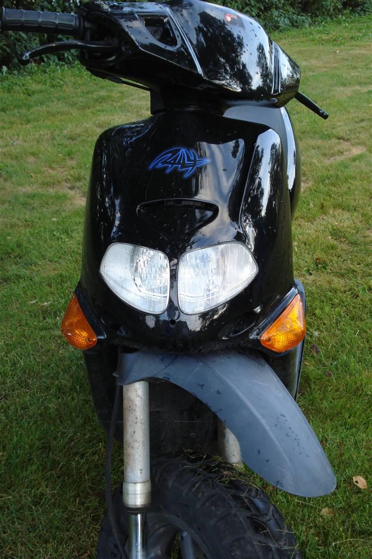 Aprilia Rally billede 5