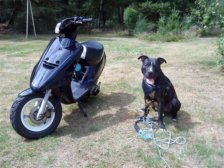 Yamaha Jog fs (Opbygges)  - Jog`en og Montana (Tony)  billede 9