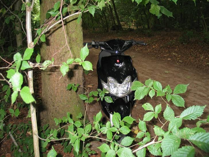 Yamaha Jor R - Ac (SOLGT) billede 9