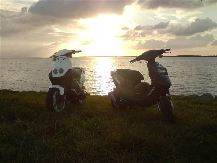 PGO hot 50 (før) billede 15