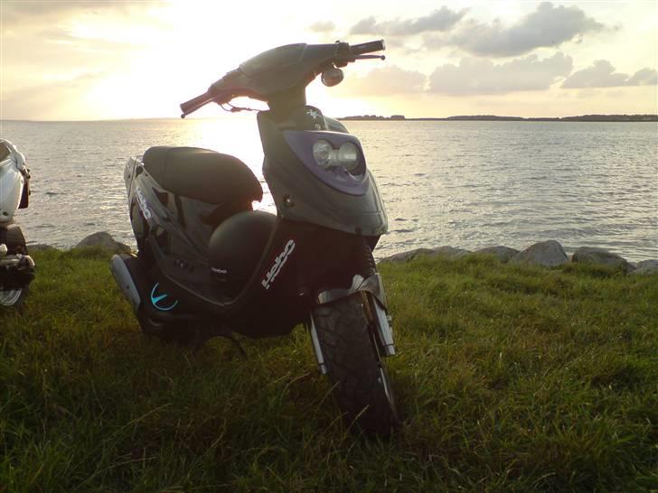 PGO hot 50 (før) billede 16