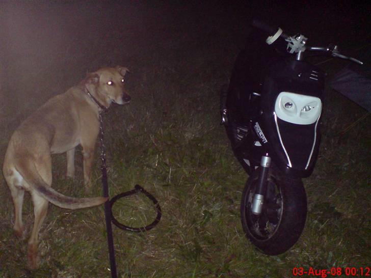 MBK Booster - På en mark på telt/druk tur, med hjemmelavet forlygte det. Havde glem og sætte den anden til =) billede 11