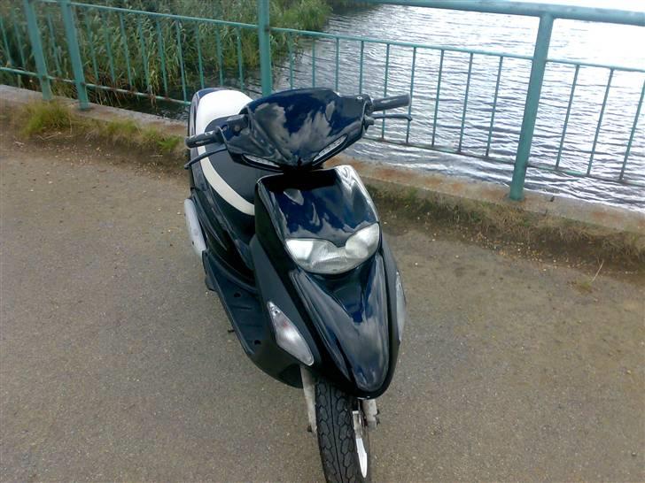 Honda sfx billede 5