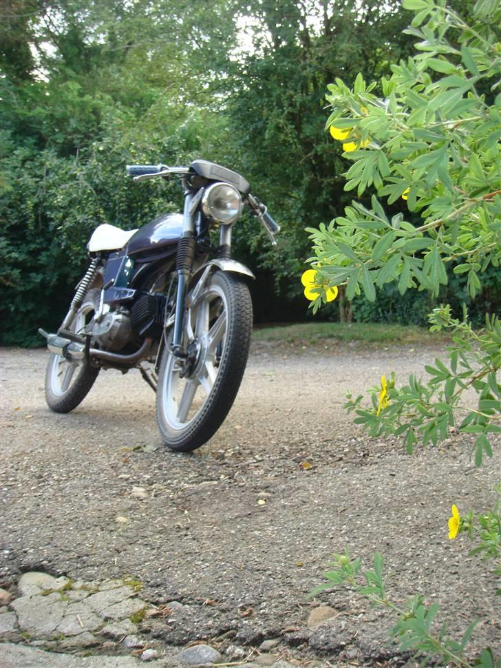 Puch Monza 3 Gear stoppet af p billede 3