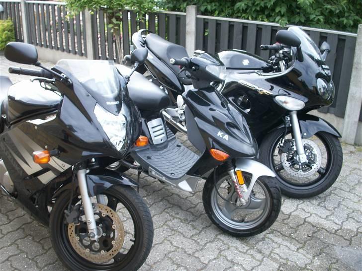 Adly silver fox solgt billede 5