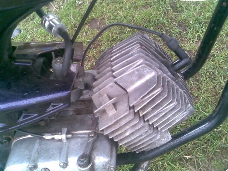 Puch Monza  (Byttet til comet) billede 5