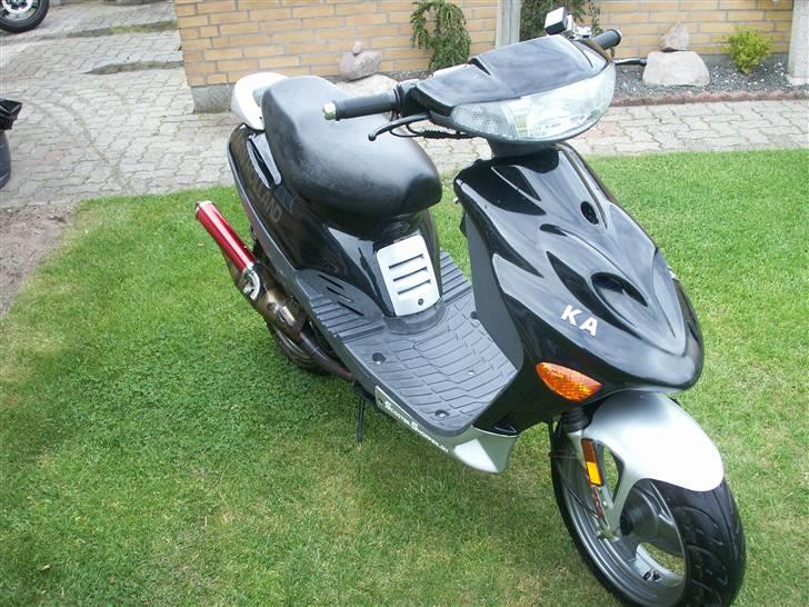 Adly silver fox solgt billede 18