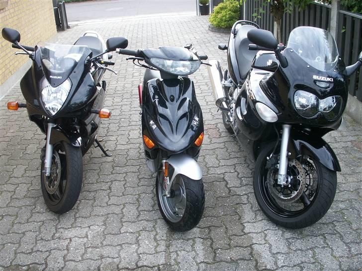 Adly silver fox solgt billede 19