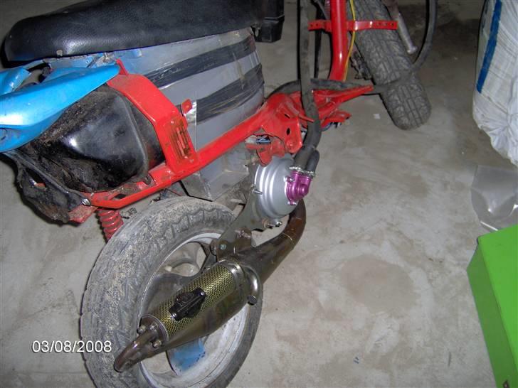 Adly cat lc!! byttet til bws billede 3