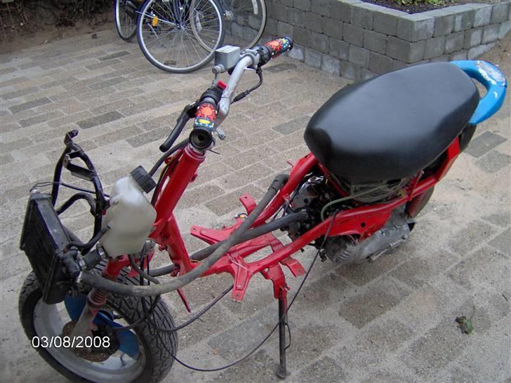 Adly cat lc!! byttet til bws billede 4