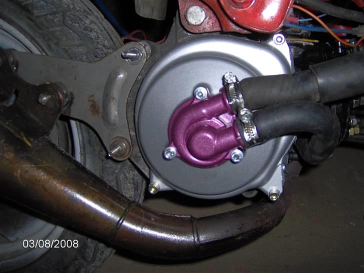 Adly cat lc!! byttet til bws billede 5