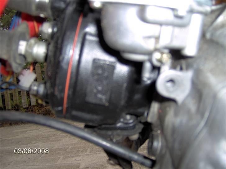 Adly cat lc!! byttet til bws billede 7