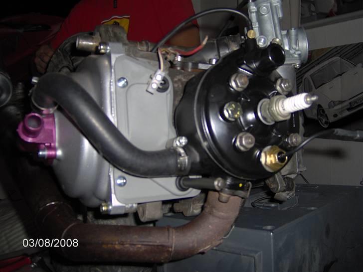 Adly cat lc!! byttet til bws billede 8