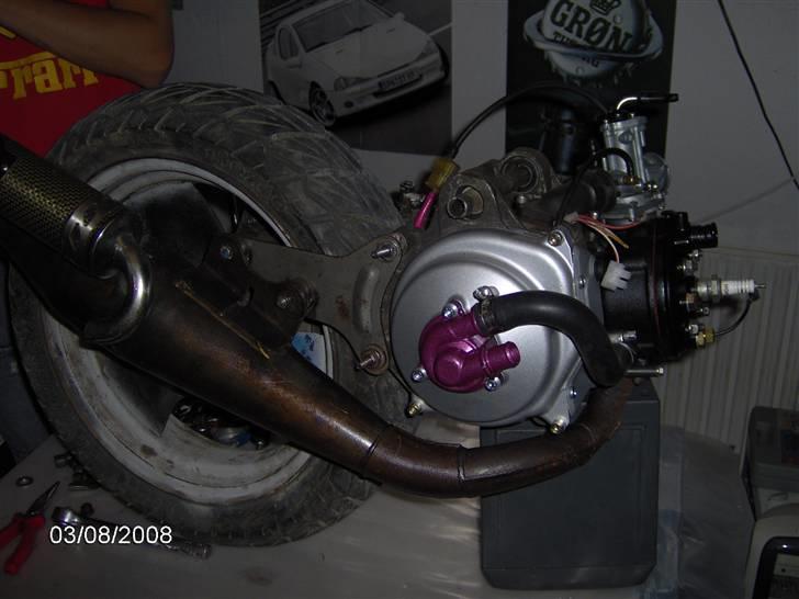 Adly cat lc!! byttet til bws billede 9