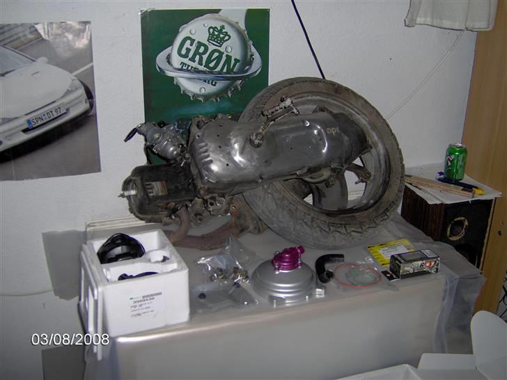 Adly cat lc!! byttet til bws billede 11