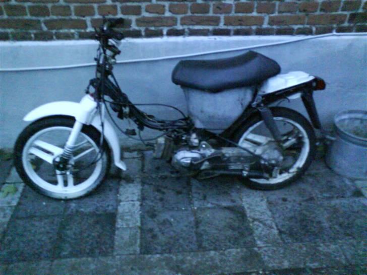 Honda wallaro (Projekt) billede 1