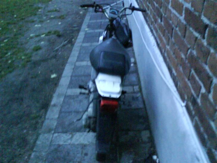 Honda wallaro (Projekt) billede 4