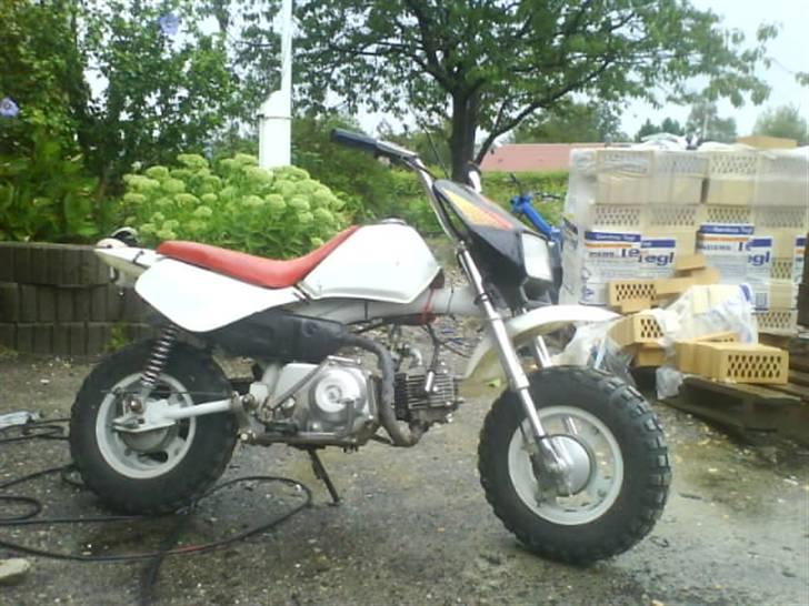 Honda monkey billede 2