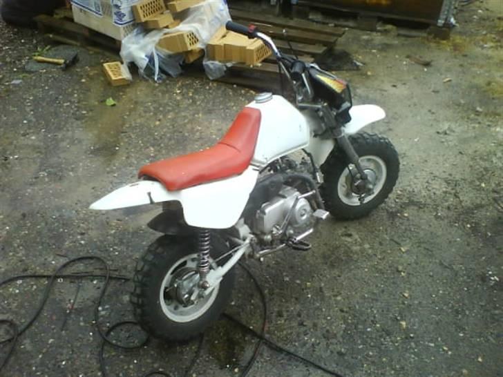 Honda monkey billede 3