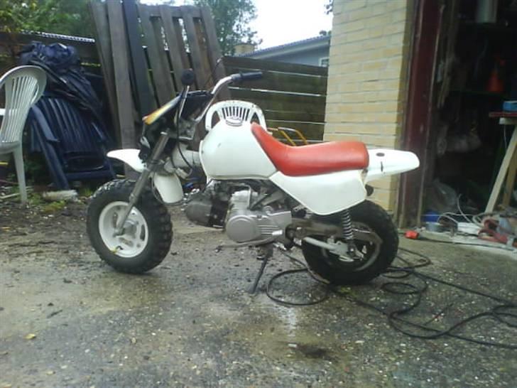 Honda monkey billede 4