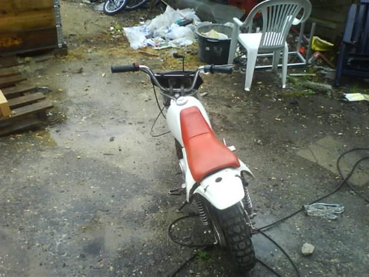 Honda monkey billede 5