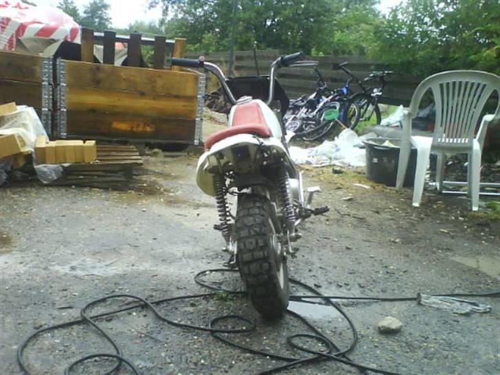 Honda monkey billede 6