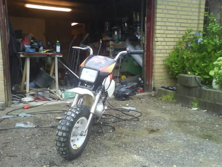 Honda monkey billede 7