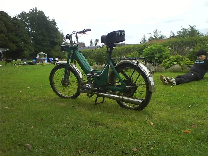 Puch Maxi    SOLGT ! billede 4