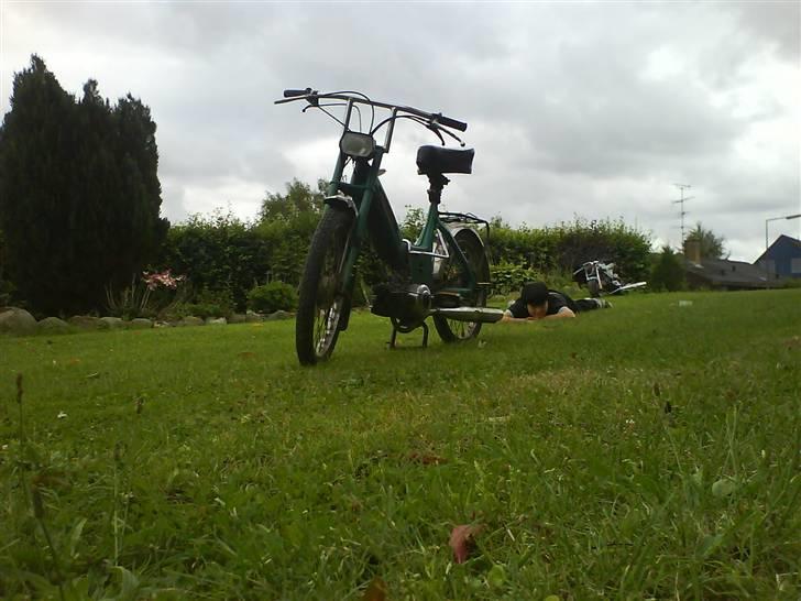 Puch Maxi    SOLGT ! billede 6