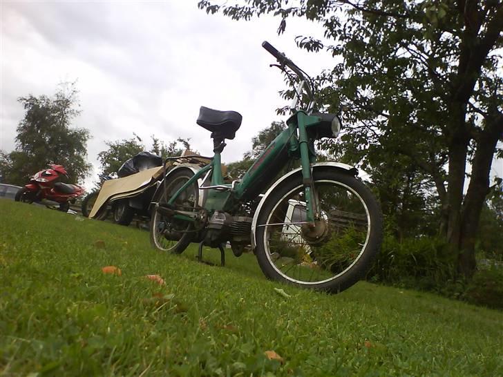 Puch Maxi    SOLGT ! billede 7