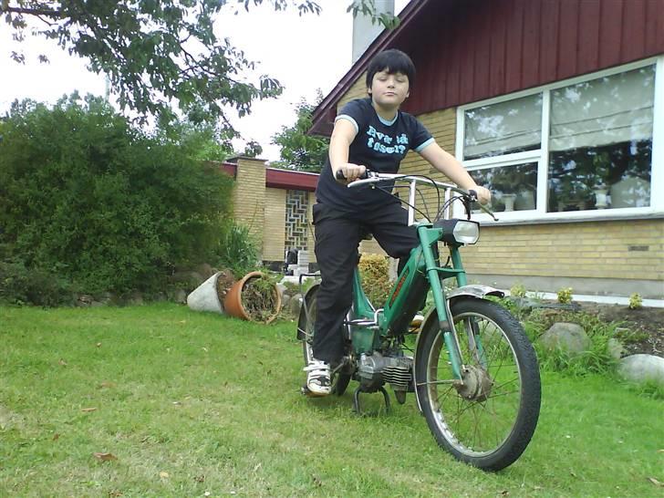 Puch Maxi    SOLGT ! billede 8
