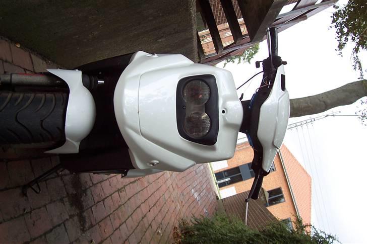 PGO hot 50 solgt billede 10