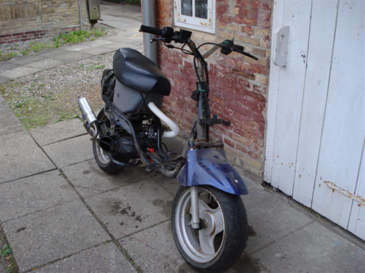 Adly Cat 50 billede 1